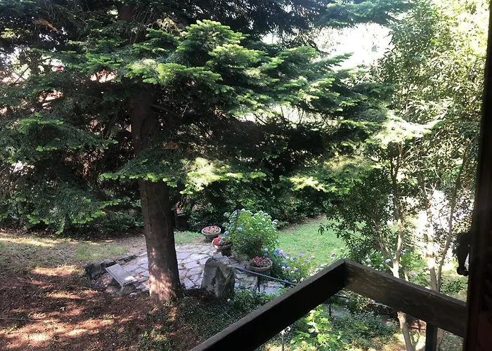 Guest house Dei Cedri 3*